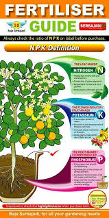 Fertilizer And Nutrients Info Plant Nutrients Fertilizer For Plants Plants