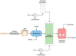 These diagrams show the flow of chemicals and the equipment generally, a process flow diagram shows only the major equipment and doesn't show details. Fermentation Free Full Text Techno Economic Bottlenecks Of The Fungal Pretreatment Of Lignocellulosic Biomass Html