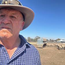 Is your animal fit to load?