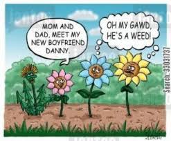 9 Unexpected Ways Funny Flower Jokes Can Make Your Life Better Funny Flower Jokes In 2020 Plant Jokes Gardening Humor Gardening Memes