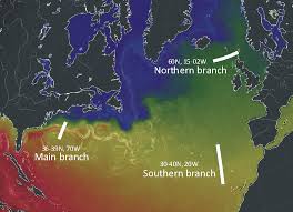 Climate4you Oceantemperaturesandsealevel