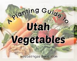 Cole crops like broccoli, cauliflower, and cabbage can be direct seeded into your garden around april 3, assuming the ground can be worked, but it's better to start them indoors around march 6 and then transplant them into the garden around april 25. A Planting Guide For Utah Vegetables Western Garden Centers