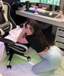 Steph & Wormy on X: want me to motivate you from under the desk?  t.cohp5qVHGEq1  X