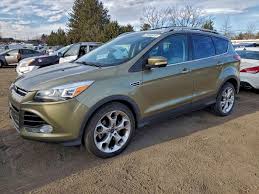 Image result for Ginger Ale 2013 Escape