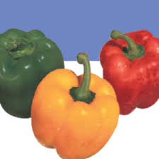 Pepper plants that are positioned too close compete for nutrients and oxygen, therefore will produce fewer fruits. How To Grow Peppers Growing Bell Peppers Jalepeno Peppers Serrano