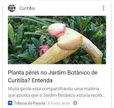 Prefeitura quer mudanças na distribuição de marmitas em curitiba. The Best Curitiba Memes Memedroid