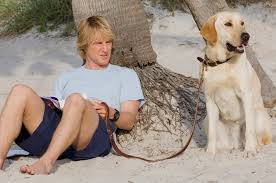 31.10.2020 · marley & me is an comedy, kids & family movie that was released in 2008 and has a run time of 2 hr 1 min. Why I Don T Watch Animal Movies Pet Death Is A Part Of Life But I By Kelli Marshall Medium