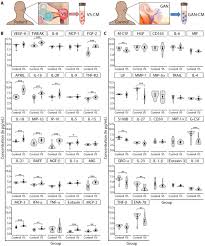 Image result for Warneckea sp.