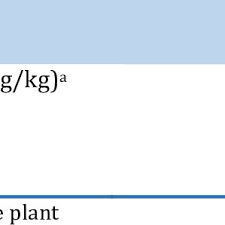 Image result for Leptochloa uniflora
