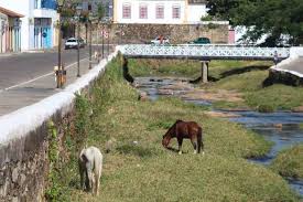 We did not find results for: Em Pleno As Ferias A Turistica Goias Velho Sofre Com A Falta De Agua