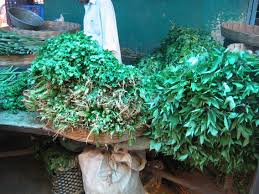 Gongura Wikipedia Google's free service instantly translates words, phrases, and web pages between english and over 100 other languages. gongura wikipedia