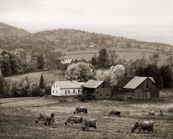 I Somehow Got Strong By Raising Skills Related To Farming The Last Of The Vermont Hill Farms Vermont Farm Landscape