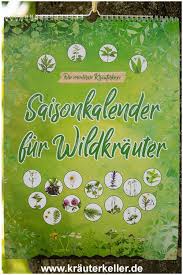 Pin Auf Heilkrauter Fur Mensch Tier Im Eigenen Garten