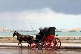 alexandria egypt aarabeya hantour alexandria egypt egypt civilization life in egypt