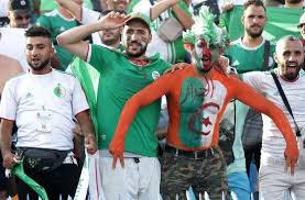 RÃ©sultat de recherche d'images pour "CAN 2019 ALGERIE"