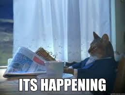 its happening - morning realization newspaper cat meme - quickmeme