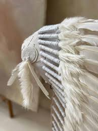 Image result for pióropusz indiański