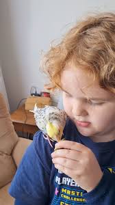 Little miss Peanut is settling in well. She's preening, eating (even foods  she usually doesn't), and is making lots of super cute, happy sounds. Berty  isn't fussed by her being here so that's good 😁 ...