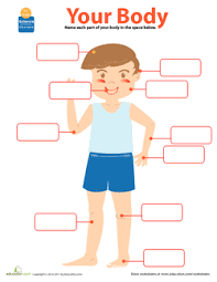 Word games » here you will find a guide to our word games (flashcards, bingo. My Body Lesson Plan Education Com Lesson Plan Education Com