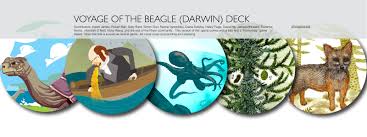 Voyage Of The Beagle Darwin Starter Deck Contribute to hackthedinos/hms_beagle development by creating an account on github. voyage of the beagle darwin starter deck