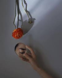 Photographer Creates Surreal Minimalist Self Portraits Surrounded By Flowers And Fruits Creative Self Portraits Self Portrait Photography Mirror Photography