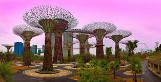 Gardens By The Bay Gardens By The Bay Pink Filter Singapore Tourist Spots