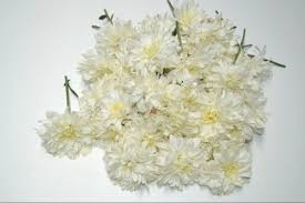 Wake up your creativity navratri flower garland decoration with crepe paper for durga pooja. Gift Pack Chrysanthemum White Flower For Puja 30 Rs 100 Gram Id 22268999291