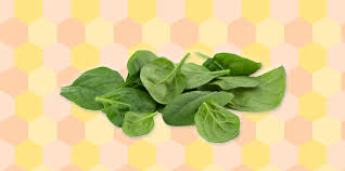 Use frozen or fresh spinach to make your puree; How To Make Spinach Puree For Babies Parents