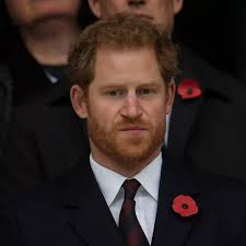 Prince Harry joined by glamorous Princess Charlene of Monaco at England vs  Springboks