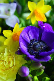 Learn all about different flower color meanings! In Amongst The Chaos Purple Flowers Types Of Purple Flowers Yellow Flowers Names