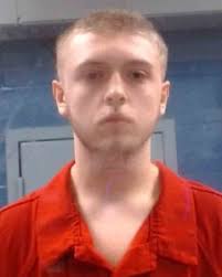 Teen's girlfriend told him to "hurry up and get it over with" before  killing 4 family members