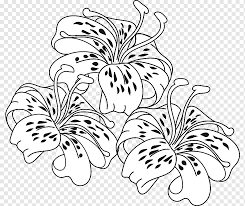 Original art for sale direct from the artist. Tiger Lily Png Images Pngwing