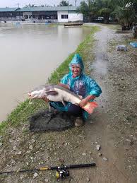 Greenbait location :kolam pancing c n r (air masin) harga : Kolam Pancing Di Selangor