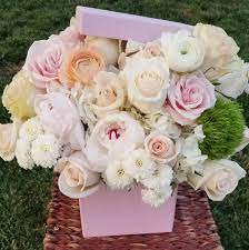 Maybe you would like to learn more about one of these? Ann S Blush Box In San Jose Ca Ann S Petals