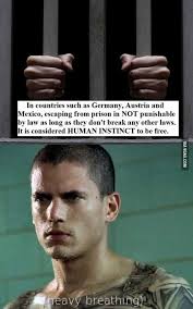 Any Prison Break Fans Out There Prison Break Quotes Prison Break Prison