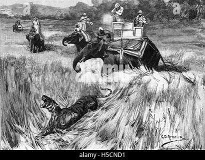 Prince of wales hunting tiger in nepal hi-res stock photography and images - Alamy