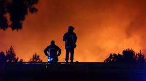 Trend Google: incendio
