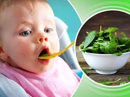 What Are The Health Benefits Of Feeding Spinach To The Child Lifealth