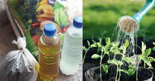 Sukatan baja ab 1 penutup air mineral baja a dan baja b. Apa Kandungan Baja Ab Hingga Menyebabkan Tanaman Lebih Mudah Dan Cepat Membesar Impiana
