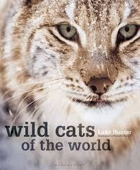 They're better than us — and they know it. Secrets Of The World S 38 Species Of Wild Cats National Geographic Society Newsroom