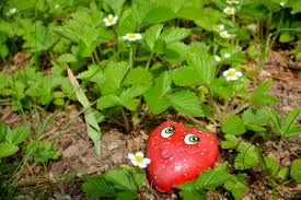 With paint or pencils you can design stones individually and have suitable motives for every season to choose from. How To Make Garden Markers By Painting Stones