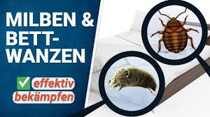 Hallo und herzlich willkommen hier. Milben Und Bettwanzen Bekampfen Youtube