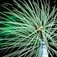 Neston Fireworks and Bonfire event image