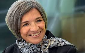 US-MEXICO TASK FORCE