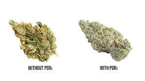 Looking for the definition of pgr? The Dangers Of Pgr Weed And How To Identify It International Highlife