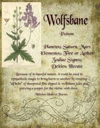 Wolfsbane Magical Herbs Magic Herbs Witch Herbs