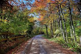 Can reckless driving be expunged? Effect Of A Reckless Driving Conviction On Employment Thomas M Wilson Attorney At Law