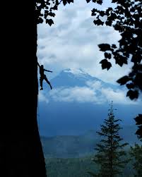 Danielaflorez.comttl models 2012, danielaflorez.com pass, descargar fotos de ttl models, ttlmodels.com freeones, ttl model see thru. Not Without My X T20 Fujilove Magazine