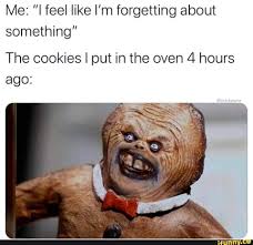 Me I Feel Like I M Forgetting About Something The Cookies I Put In The Oven 4 Hours Ago Ifunny Funny Memes Memes Animal Memes
