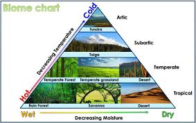 Biome Chart Montessori Science Science Biology Biomes